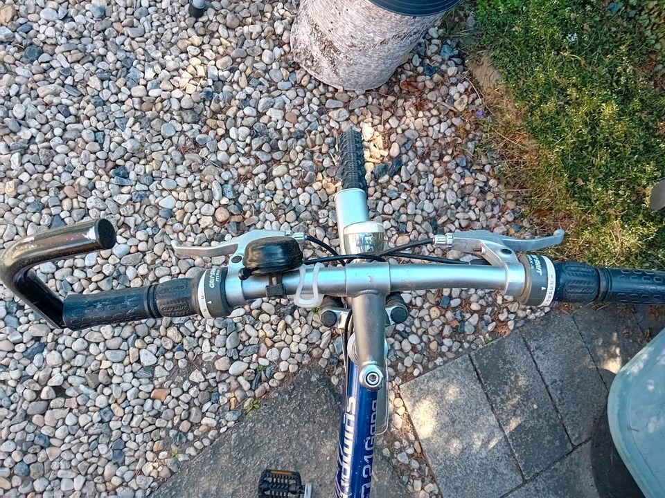 Herrenfahrrad 26 Zoll in Radeburg