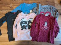 Langarmshirts Größe 110/116, Pullover, Wendepailletten Dresden - Leubnitz-Neuostra Vorschau