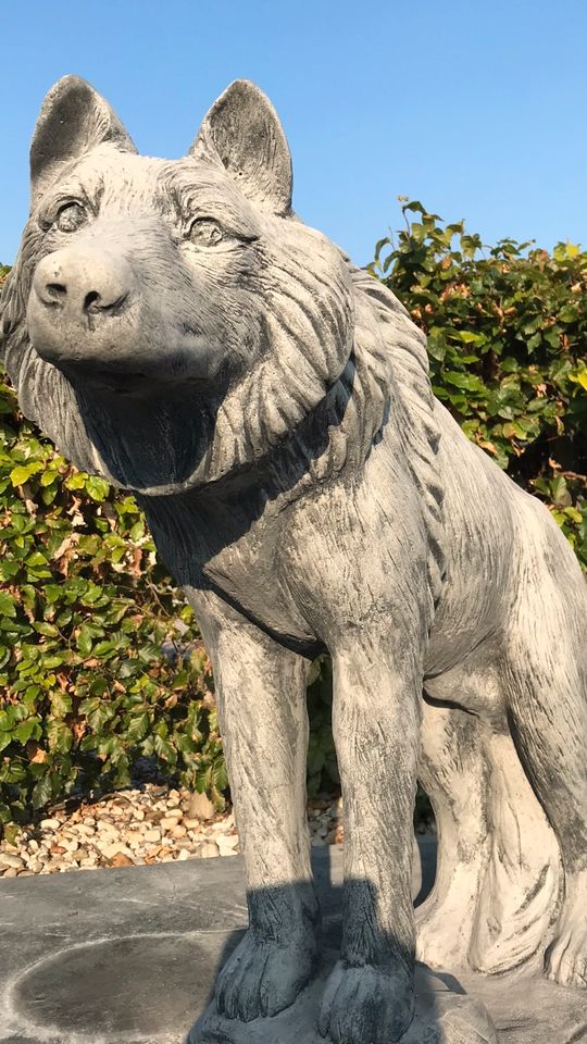 Wolf Lebensgroß 80cm 130kg Wölfe Wolfshund Husky Timberwolf in Karlsruhe