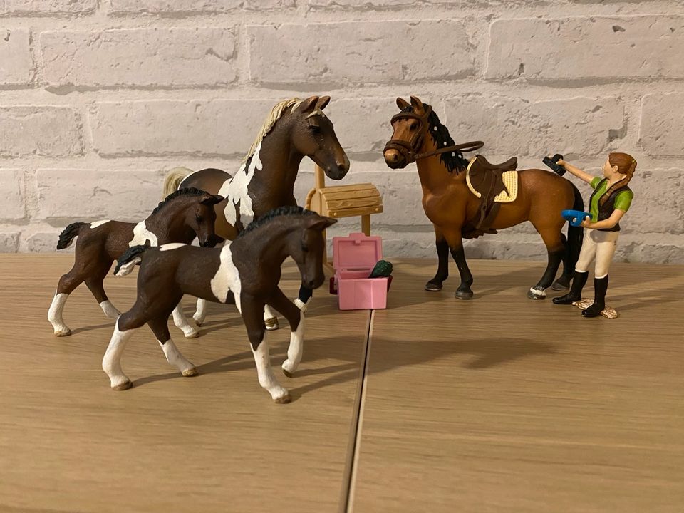 Schleich Trakehner 13756,13757,13758 und Pflegerin Pferde in Wedel