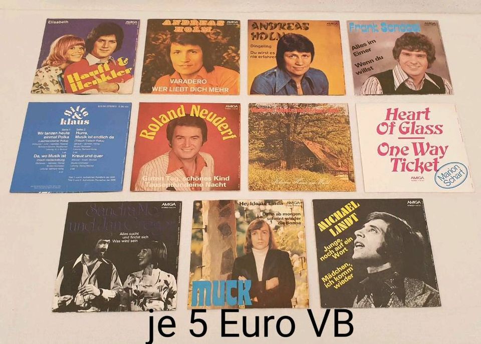 7" Schallplatten ABBA, BONEY M., SMOKIE, HEINTJE, NINA HAGEN usw. in Dresden