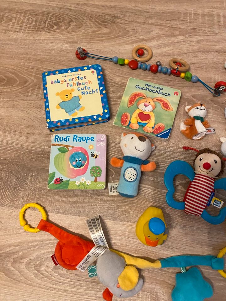 Babyspielzeug, Bücher, Stapelturm in Aindling