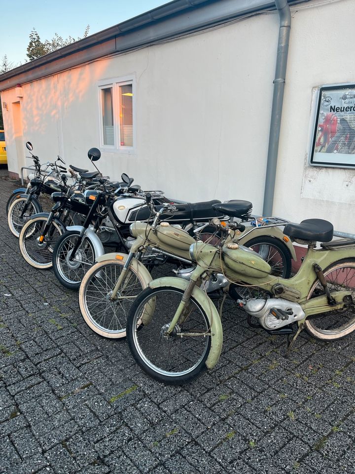 Suche Zündapp Hercules Kreidler Nsu Dkw Puch Mofa Moped in Iserlohn