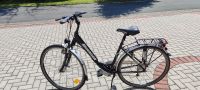 Damenfahrrad Marke Morrison Hessen - Knüllwald Vorschau