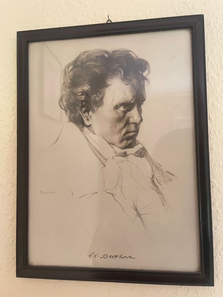 Bild von Ludwig van Beethoven in Zwickau
