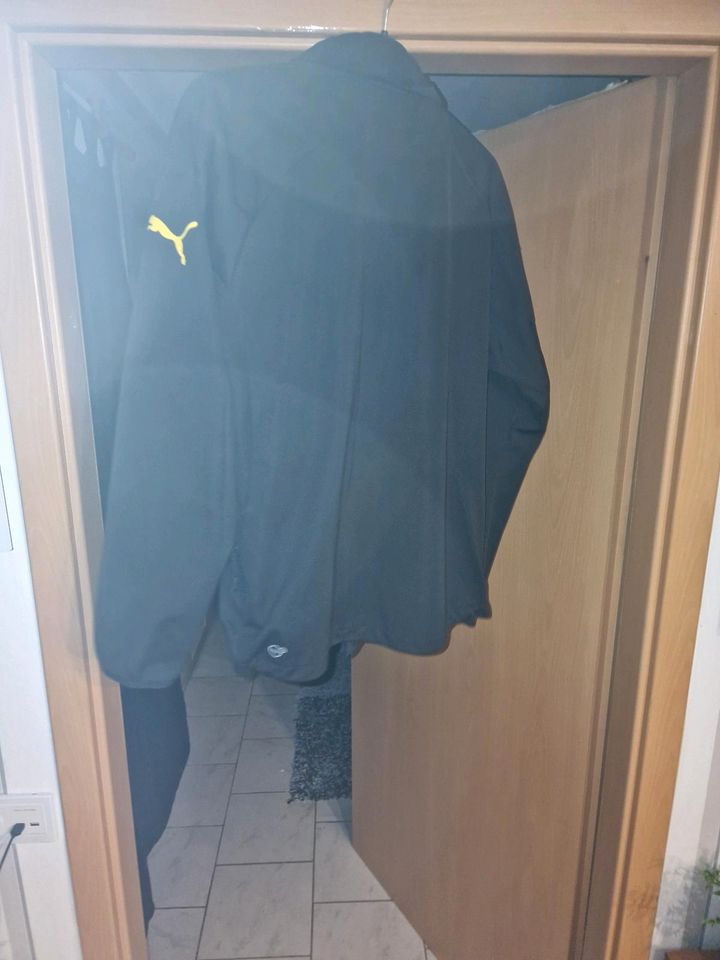 BVb Puma Windbreaker Jacke in Dortmund