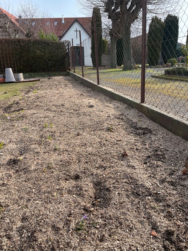 Gärtner Gartenservice Gartenhilfe Heckenschnitt Garten Rodung in Wedemark