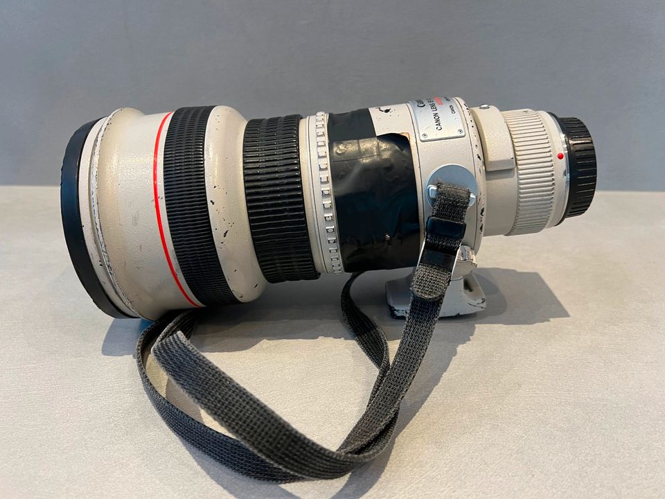Canon EF 300 mm f/2,8 L in Köln