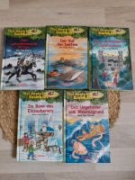 Das magische Baumhaus Bücher Nordrhein-Westfalen - Schwalmtal Vorschau