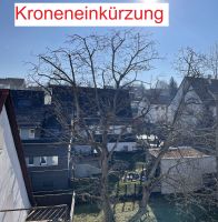 Baumpflege, Baumfällung & Gartenarbeiten in Ludwigsburg Baden-Württemberg - Ludwigsburg Vorschau