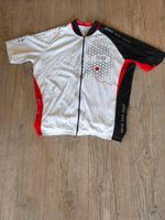 Gore Bike Wear Radtrikot Gr XL Rheinland-Pfalz - Landau in der Pfalz Vorschau