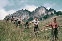 Wer sucht Hofnachfolger ? Wir suchen a Sacherl Bayern - Wackersberg Vorschau