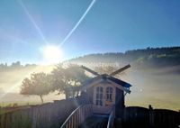 Exquisite Naturoase: Frei stehendes Holzhaus, mit Gästehaus im Pfälzer Wald. Rheinland-Pfalz - Wilgartswiesen Vorschau