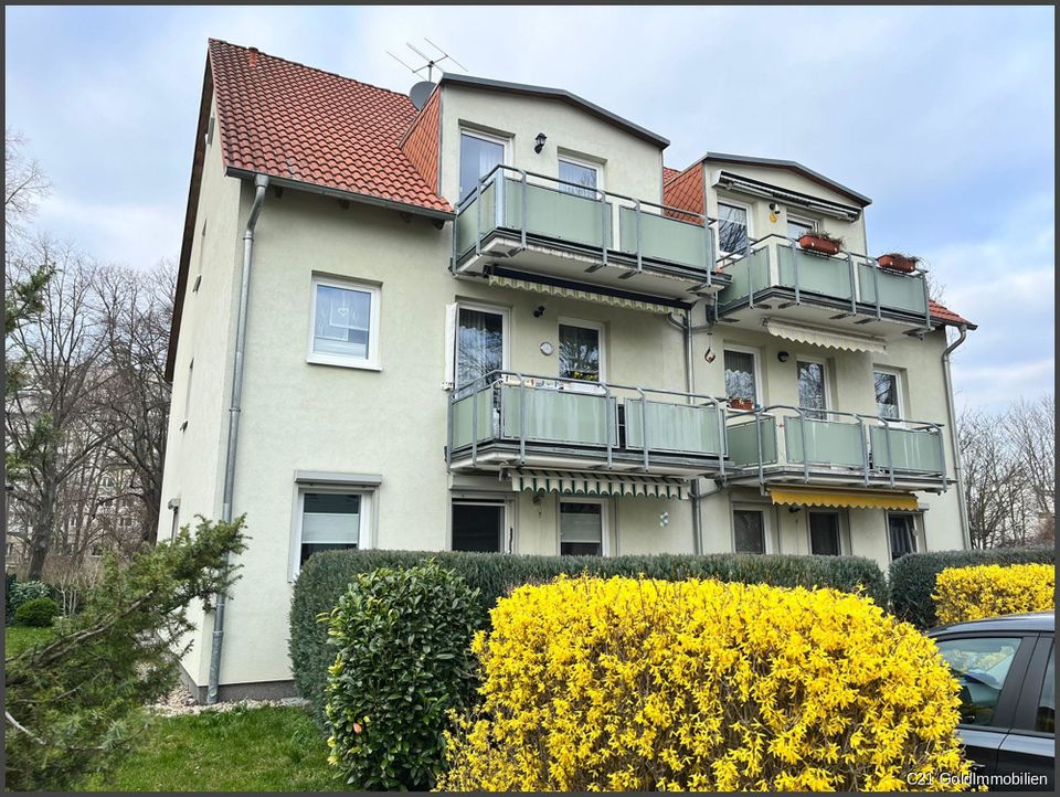 C21 Gold Immobilien Bezaubernde Erdgeschosswohnung in ruhiger Lage! in Halle