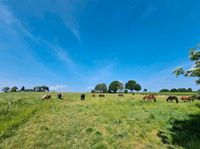 Pferdebox frei für Rentner Nordrhein-Westfalen - Datteln Vorschau