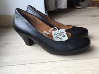 Caprice Pumps Absatzschuhe neu Gr. 37 Hannover - Vahrenwald-List Vorschau