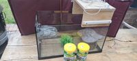 Terrarium Aquarium Wasserschikdkröten mit Zubehör Hessen - Wiesbaden Vorschau