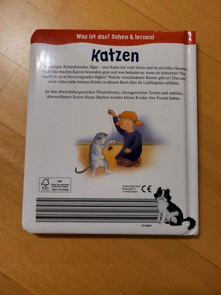 Was ist das? Katzen in Kürnbach