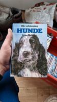 Hunde Geschichten Buch Niedersachsen - Wittmar Vorschau