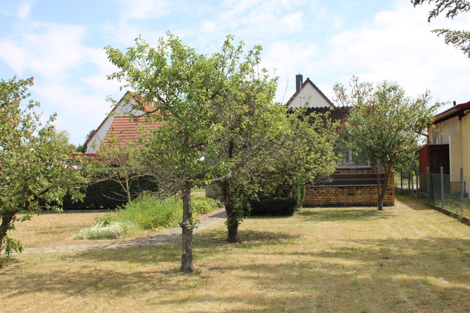 Schönes Einfamilienhaus mit separatem Gästebungalow  unweit vom „Großen Teich“ in Torgau in Torgau