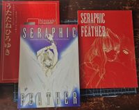 Seraphic Feather Artbook 2 Bände im Pappschuber Brandenburg - Potsdam Vorschau