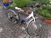 Winora 26 Zoll Jugendfahrrad Bayern - Münnerstadt Vorschau