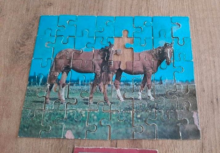 DDR Puzzle Pferde 40 Teile 22,5x17 cm Plasticart in St Gangloff