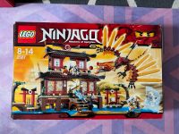 Lego Ninjago Konvolut Hessen - Kelkheim Vorschau