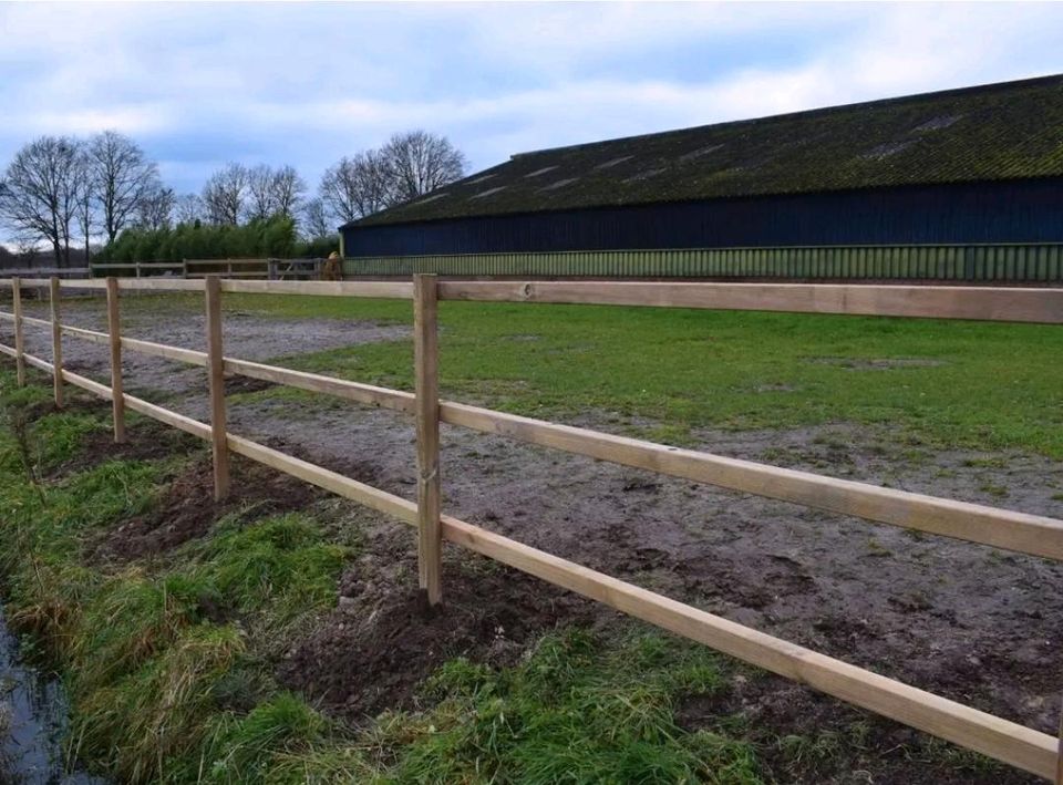 Pferdestall für Selbstversorger Pferd Stall zu vermieten Wiese in Bad Berka