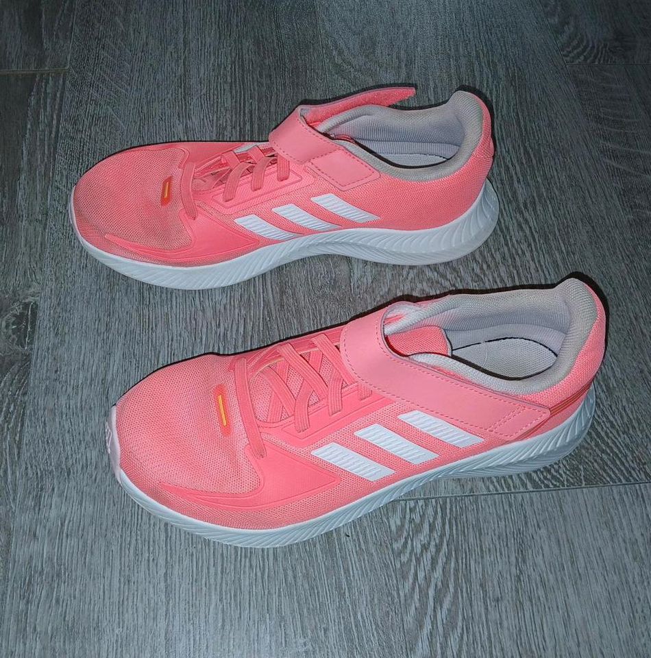 Sportschuhe Turnschuhe adidas Gr. 38 in Ebstorf