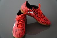 Puma Fußballschuhe Hallenschuhe Laufschuhe Größe 36 Bayern - Coburg Vorschau