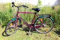 Herrenfahrrad Diamant Saphir 28" Trekking Citybike (Second Hand) Schleswig-Holstein - Norderstedt Vorschau