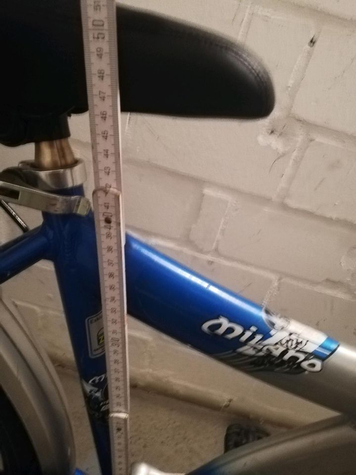 Fahrrad Pegasus 26 Zoll 7 Gänge Nabendynamo Alurahmen in Lage