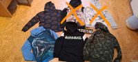 H&M Pullover,Hoodie,Sweatshirt Dino,Puma,Tiger,Feuerwehr, Dinos Niedersachsen - Friesoythe Vorschau