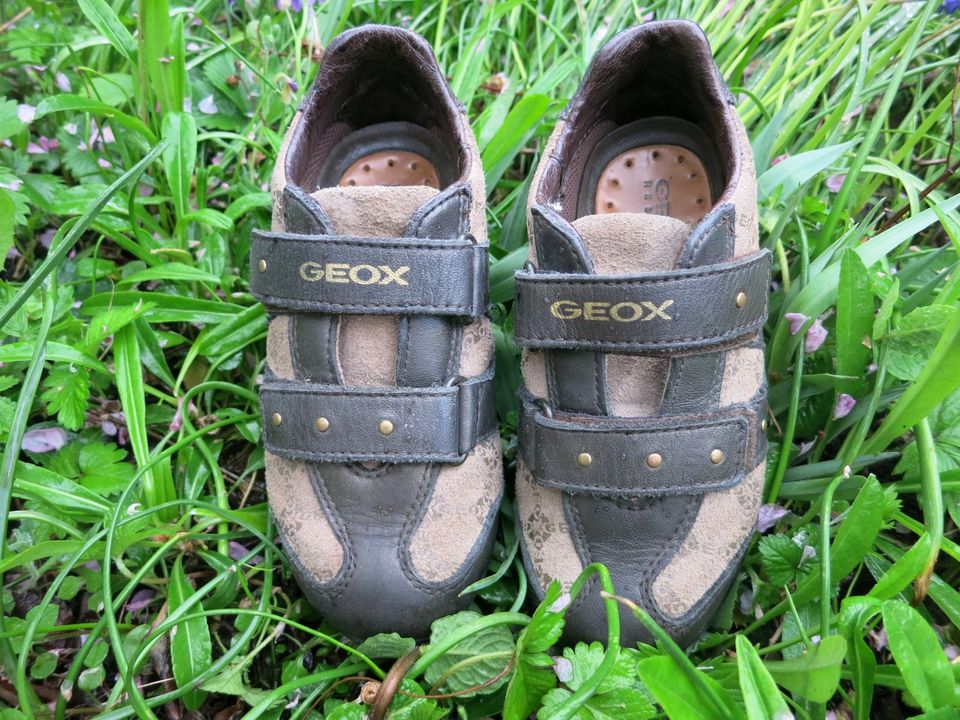 Sneaker von GEOX, Gr. 27 in Hildesheim