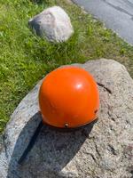 Simson Halbschale DDR Sachsen - Thiendorf Vorschau