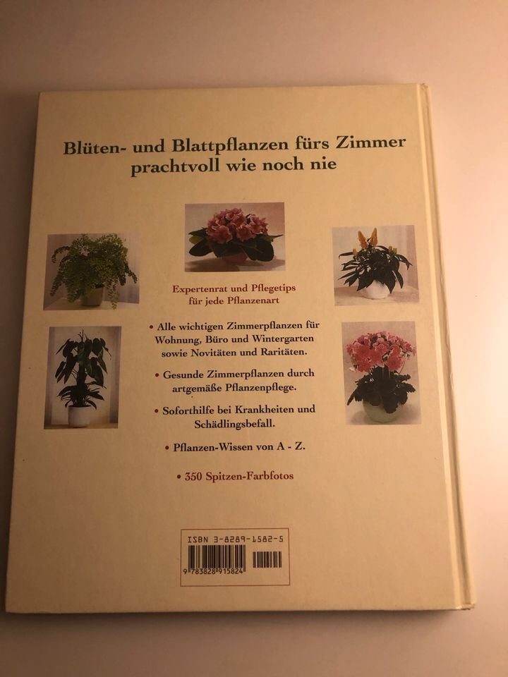 Zimmerpflanzen - Halina Heitz in Eberdingen
