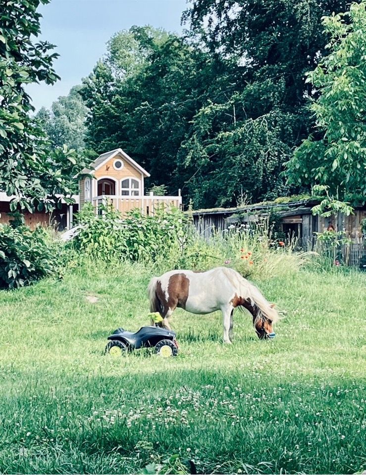 Wunderschöner Resthof, Ein-oder Mehrfamilienhaus & Baugrundstück in Belau bei Wankendorf