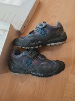 Geox Respira Jungen Schuhe 31 Nordrhein-Westfalen - Xanten Vorschau