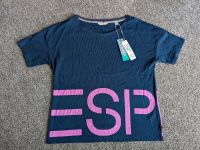 T-Shirt, Esprit, Größe M, NEU Hessen - Söhrewald Vorschau