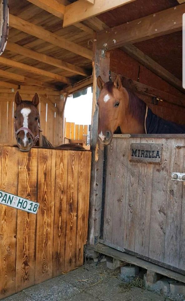 Ein Traum für Pferdefreunde: 2.-Fam.-Haus mit Stallungen in Kirchdorf a. Inn