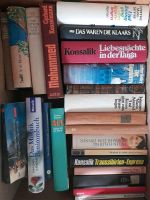 Karton voll Bücher / 23 Bücher Romane etc. Niedersachsen - Moringen Vorschau