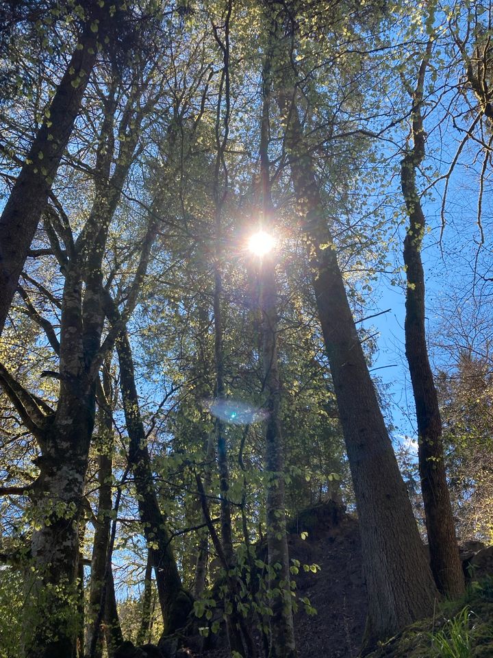 Medizinwanderungen in Löffingen