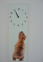 Wanduhr Glasbild 20x60cm Eurographics Shar Pei chin. Faltenhund Nordrhein-Westfalen - Krefeld Vorschau