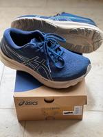 Asics Gel-Kayano 29 Damen Laufschuhe Baden-Württemberg - Ludwigsburg Vorschau