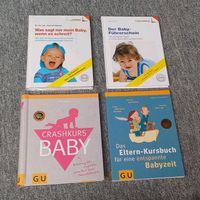 Baby Bücher Crashkurs Führerschein Baby schreit Babyzeit Eltern Schleswig-Holstein - Neumünster Vorschau