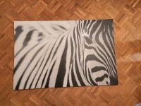 Wandbild Zebra IKEA groß Saarland - Illingen Vorschau