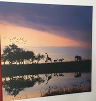 Wandbild/ Leinwand Elefant/ Giraffe 60x60cm Nordrhein-Westfalen - Ennepetal Vorschau