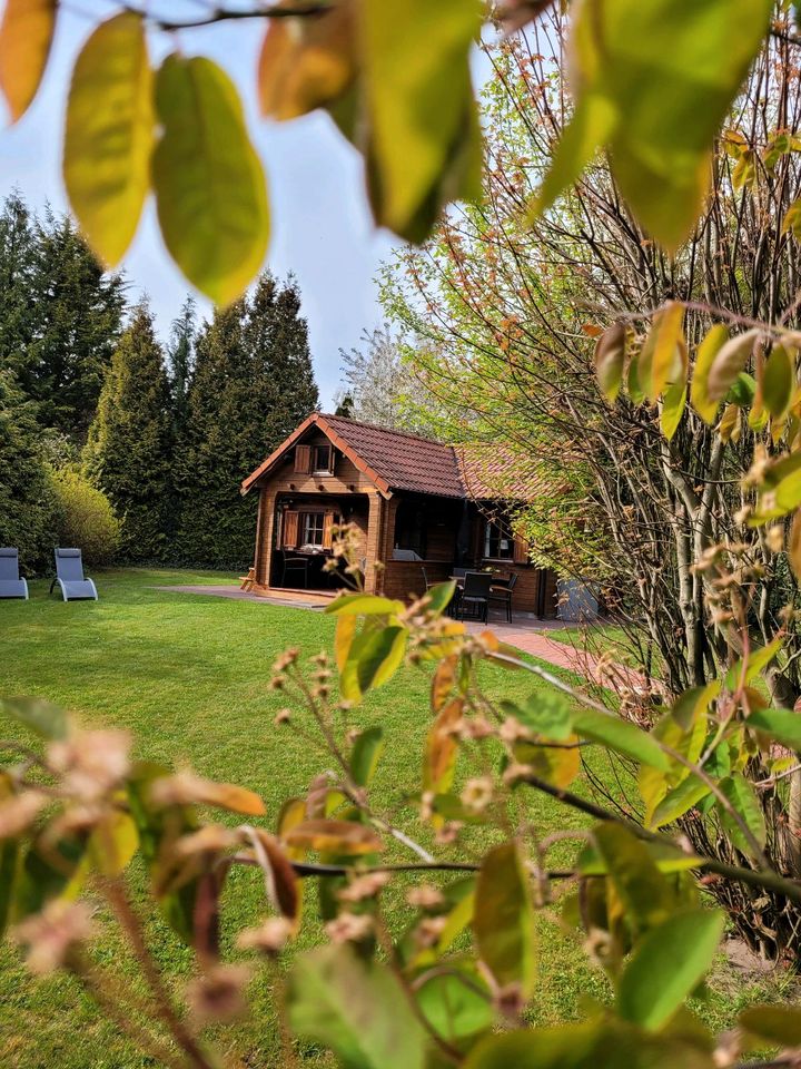 Familienfreundlich Ferienhaus am Grinderwald nah Steinhuder Meer in Neustadt am Rübenberge