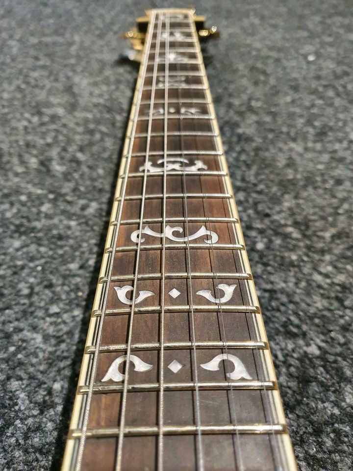 Ibanez AR725-VLS E-Gitarre Gitarre in Hannover